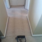 Carpet Cleaning North Miami Florida